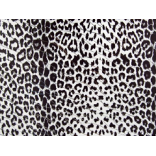 Hunter Lycra/ black-white