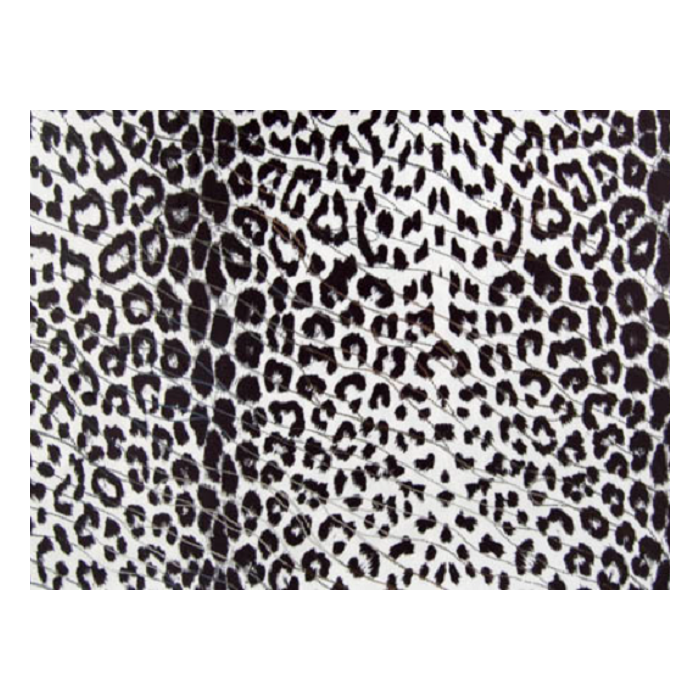 Hunter Lycra/ black-white