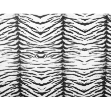 Tiger Lycra/ white black